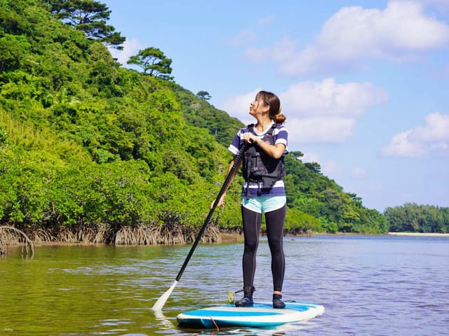 enjoy-the-world-heritage-site-of-mangrove-supor-canoe-half-day-tour-reservation-photo-data-free-equipment-rental-iriomote-island-okinawa_1