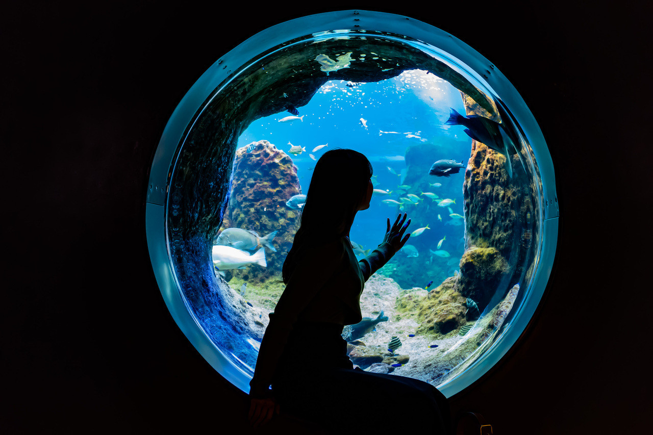 Enoshima Aquarium in Tokyo | Pelago