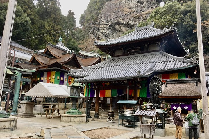 Full-Day Private Guided Tour to a Japanese Mountain near Osaka: Ikoma - Photo 1 of 8