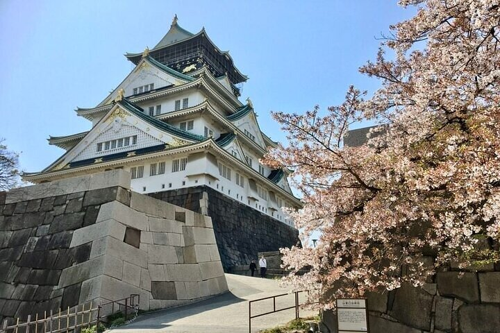 Full-Day Private Guided Tour to Osaka Castle - Photo 1 of 9