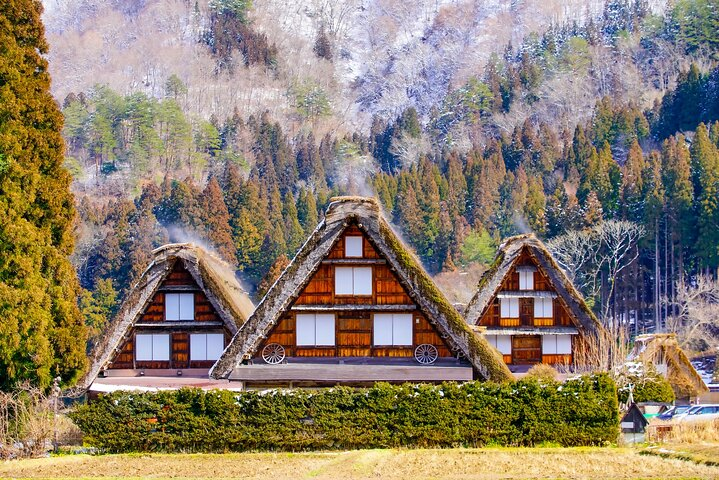 Full Day Private Tour in Takayama and Shirakawago - Photo 1 of 6