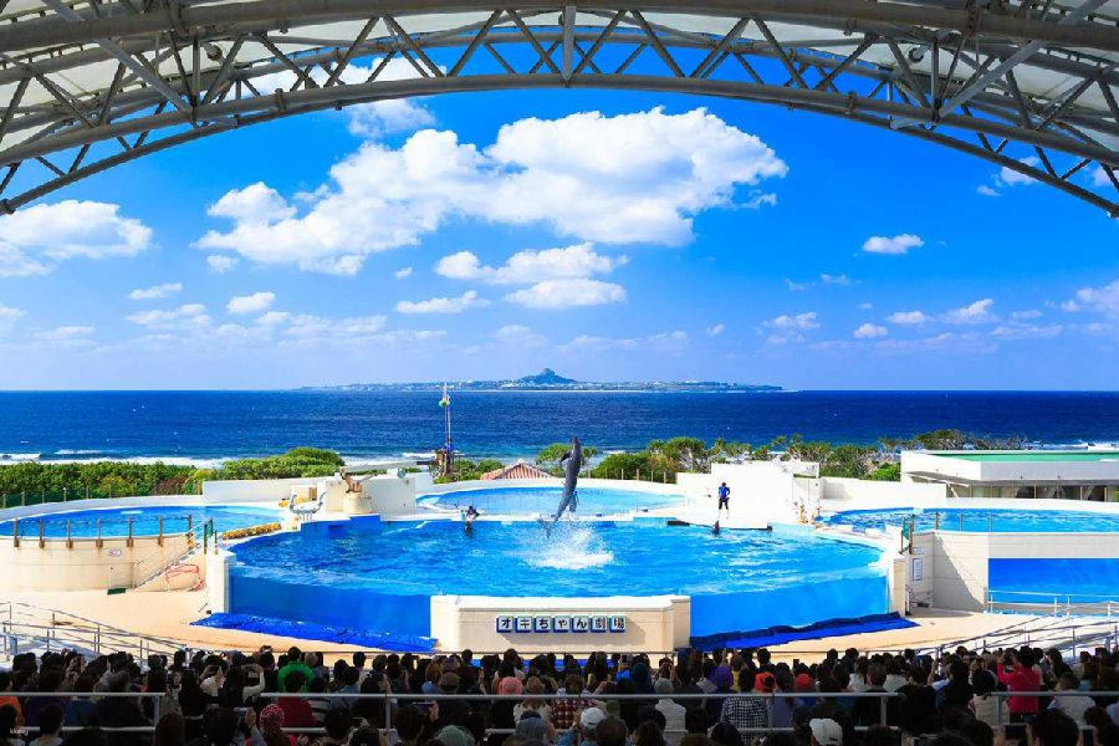 [Guaranteed Departure for Solo Traveler] Northern Okinawa One-Day Tour from Naha & Chatan: Manzamo, Kouri Island, Churaumi Aquarium, American Village with a Chinese-speaking Guide & All-inclusive Attraction Tickets | Spring Cherry Blossom Viewing - Photo 1 of 9