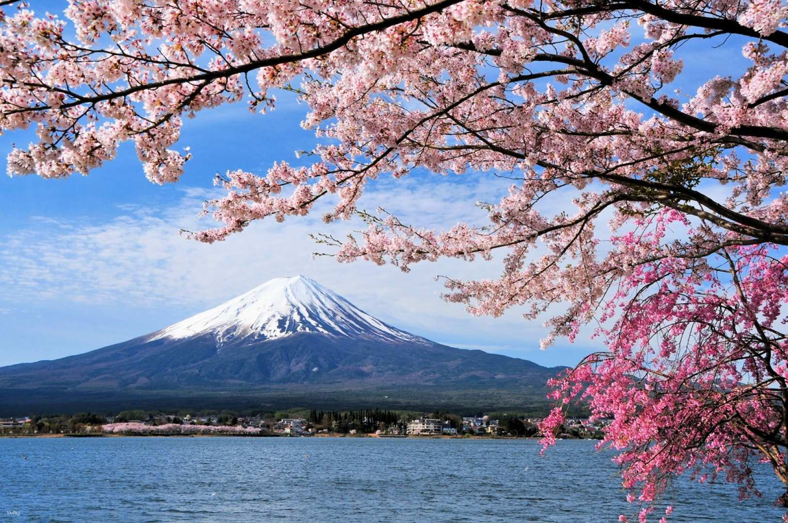 Hakone Day Tour from Tokyo: Lake Ashi Pirate Ship, Hakone Ropeway, Owakudani & Mt. Fuji｜Japan - Photo 1 of 5