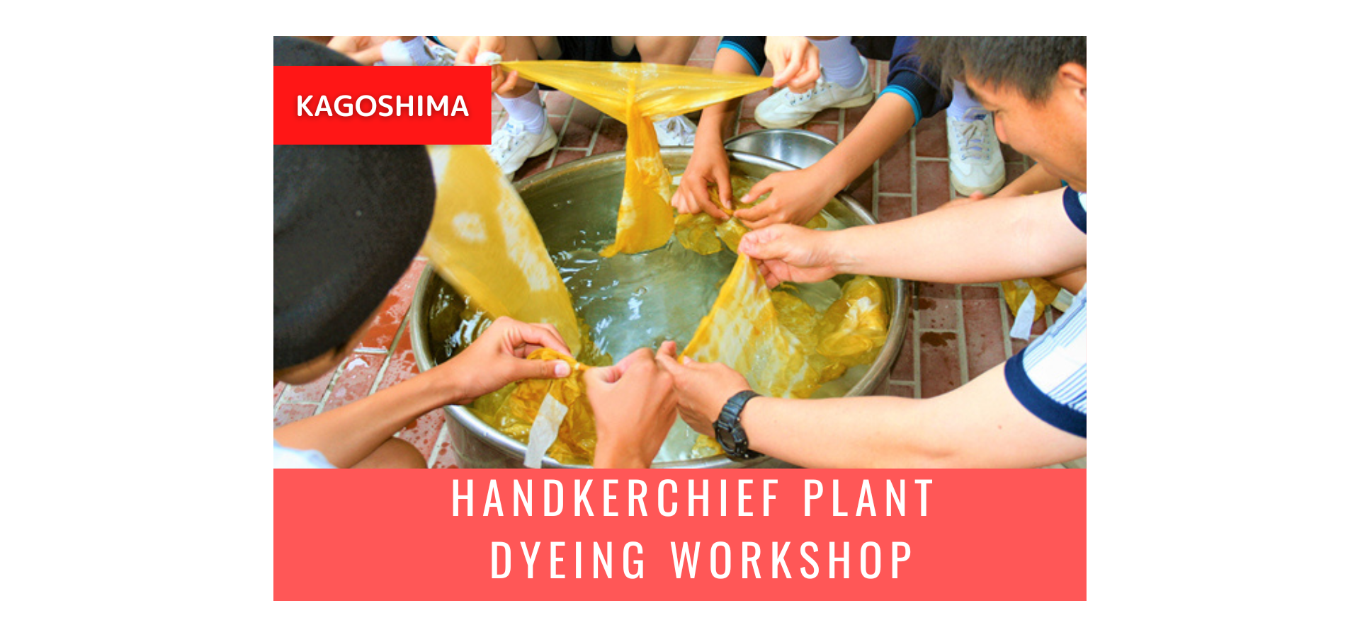 Handkerchief Plant Dyeing Workshop in Kagoshima - Photo 1 of 11