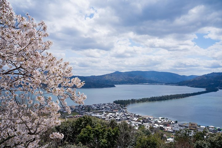 Hidden Gems Amanohashidate & Ine Bay Cruise Experience from Osaka - Photo 1 of 12