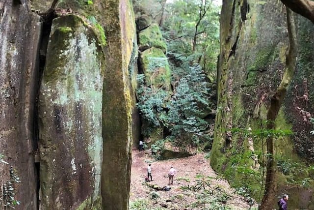 hike-rope-ladders-miyazaki-japan_1