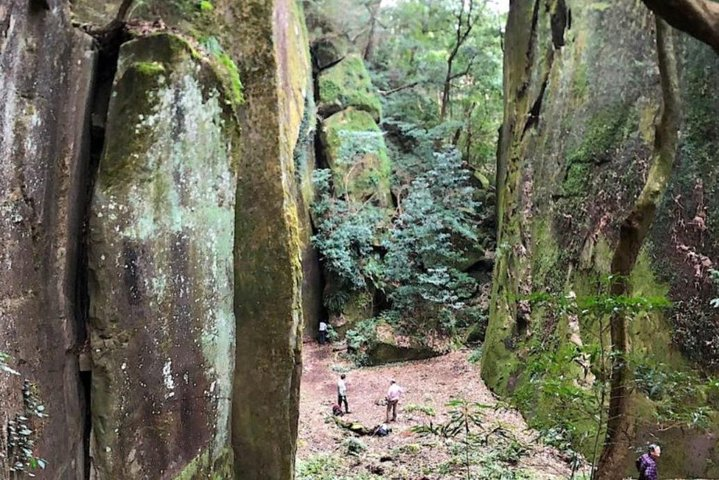 Hike Rope Ladders Miyazaki Japan - Photo 1 of 10