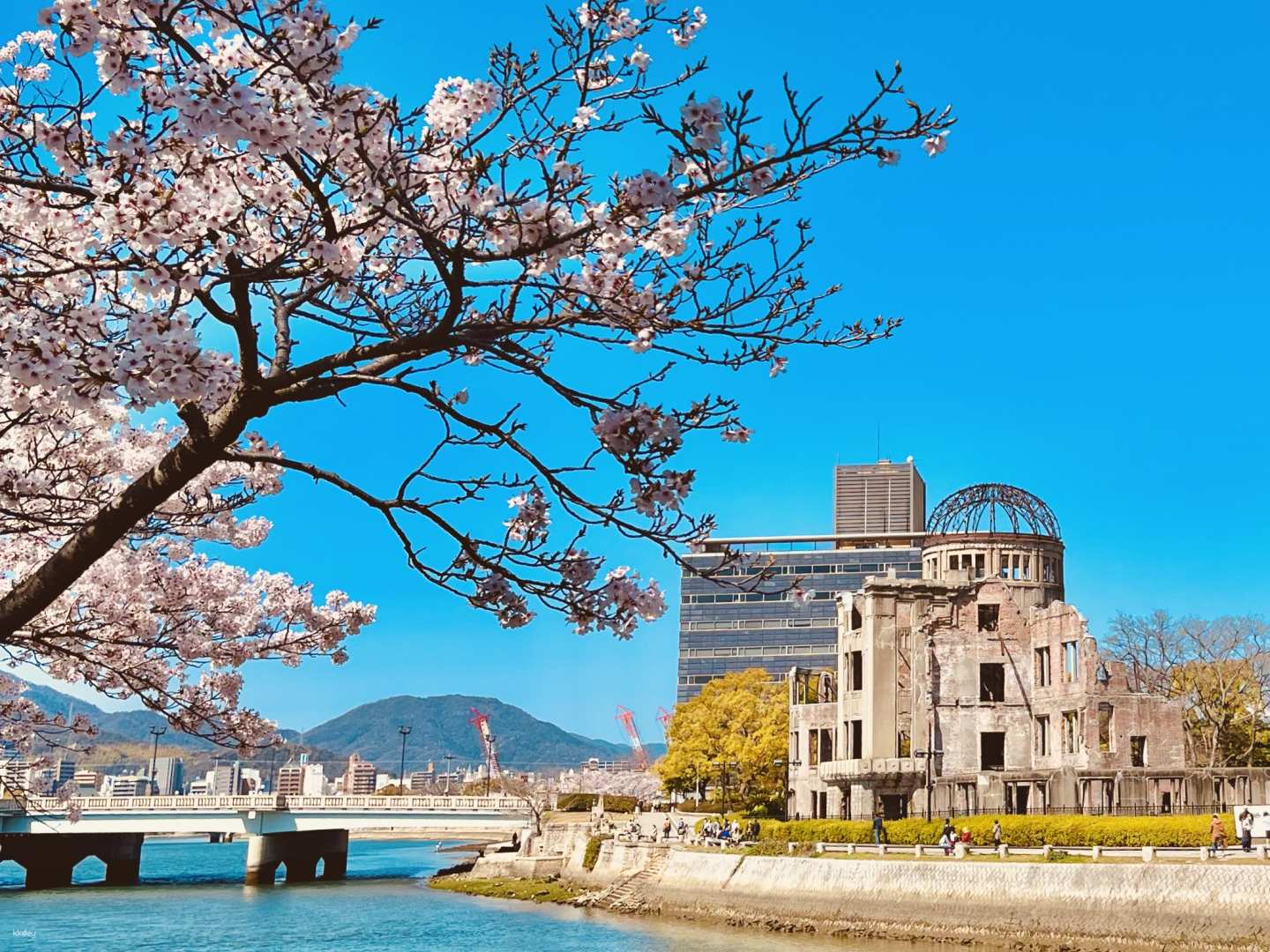 Hiroshima and Miyajima 1 Day Bus Tour - Photo 1 of 7