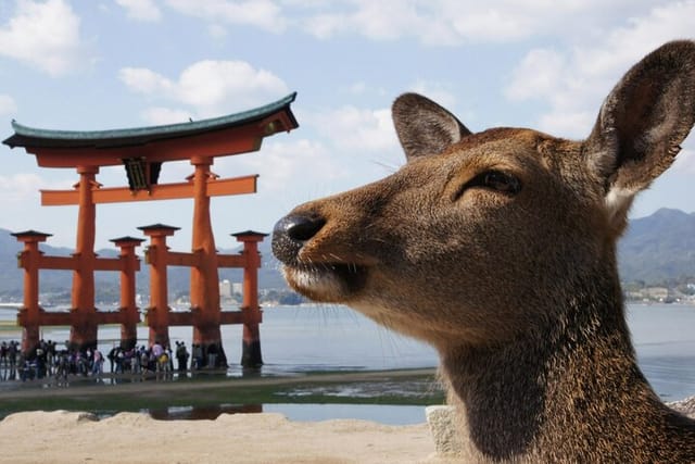 Hiroshima City and Miyajima Bus Tour from Osaka and Kyoto - Photo 1 of 7