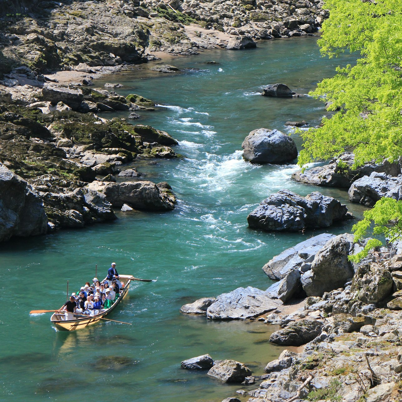 Hozugawa Private River Boat Ride - Photo 1 of 9