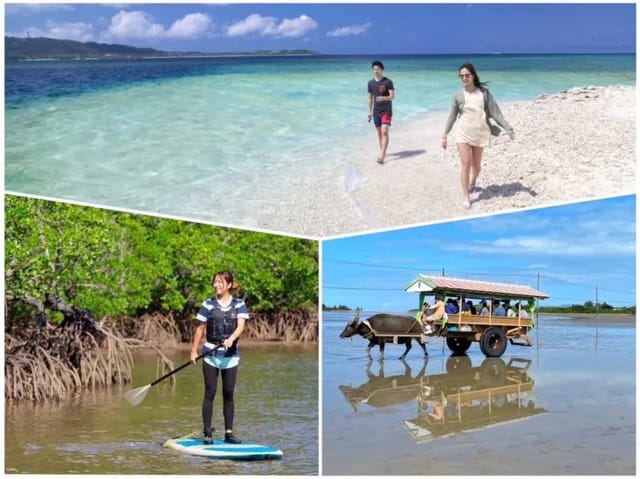 Iriomote Island Mangrove SUP / Canoe + Barasu Island Landing + Yubu Island Sightseeing 1-Day Tour Reservation Free Photo Data (Okinawa) - Photo 1 of 10