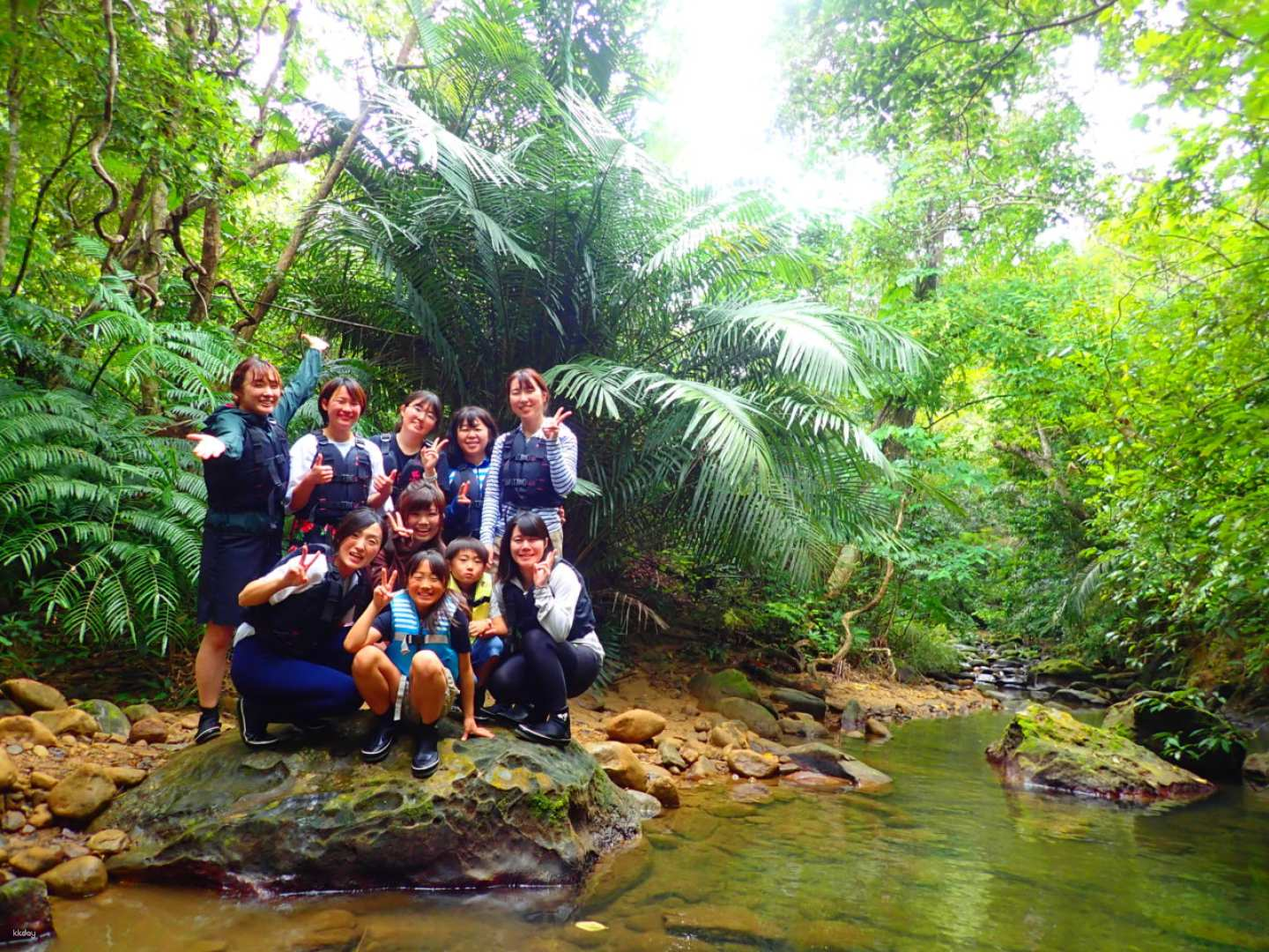 Iriomote Island(西表島) Half-day Private Tour |  Avoid close contact and choose activities - Photo 1 of 9