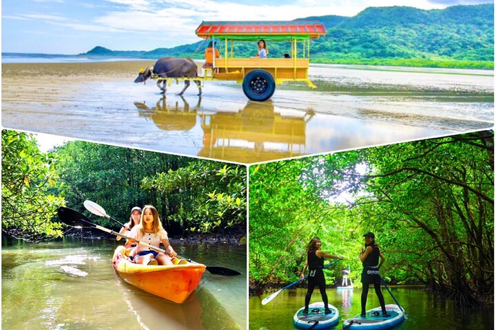 [Iriomote]SUP/Canoe tour + Sightseeing in Yubujima island - Photo 1 of 16