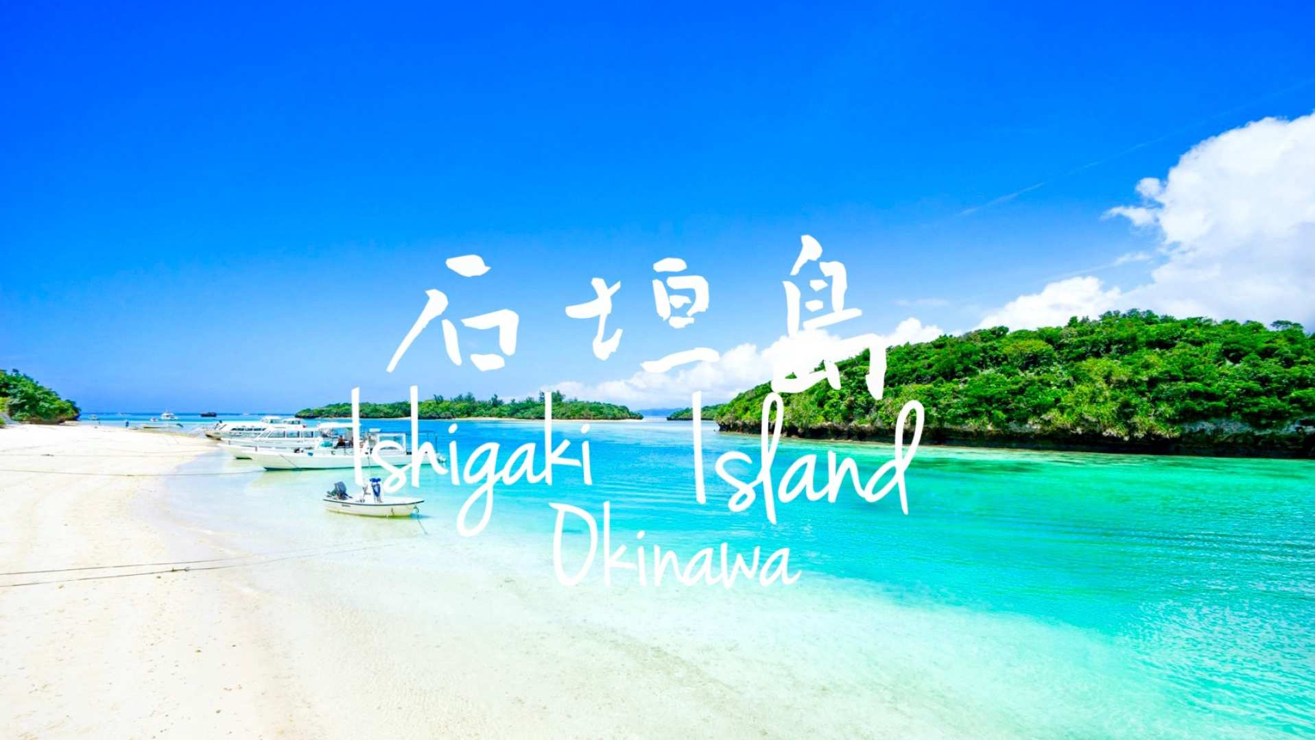 Japan Charter Tour｜Ishigaki Island Day Tour｜Depart from Ishigaki Island - Photo 1 of 7