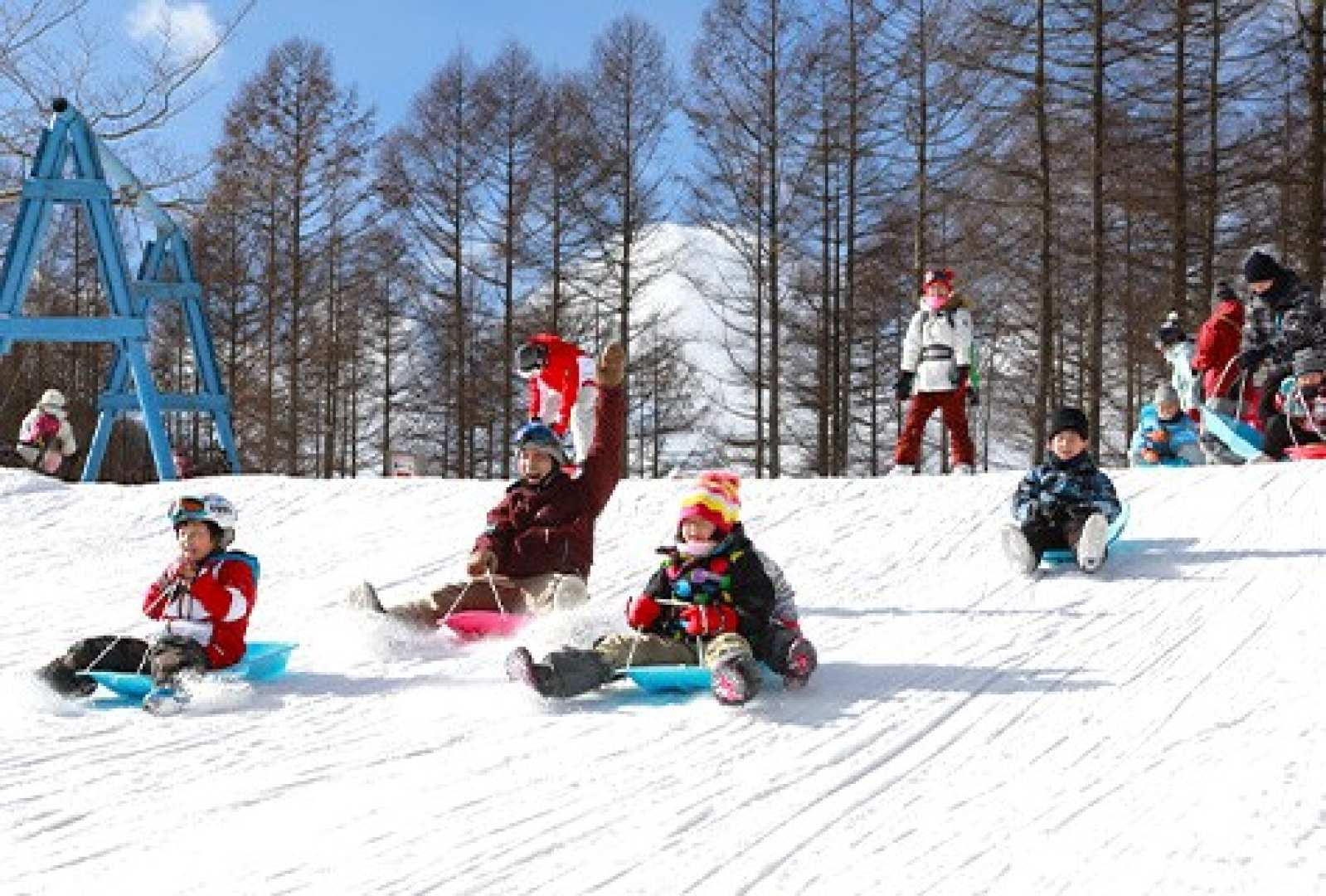 [Japan] Karuizawa Winter Hot Spring Skiing 3-Day Tour｜Nagano Snow Monkey Hot Spring, All-You-Can-Eat Strawberries, Kawagoe Streets｜Depart From Tokyo - Photo 1 of 7