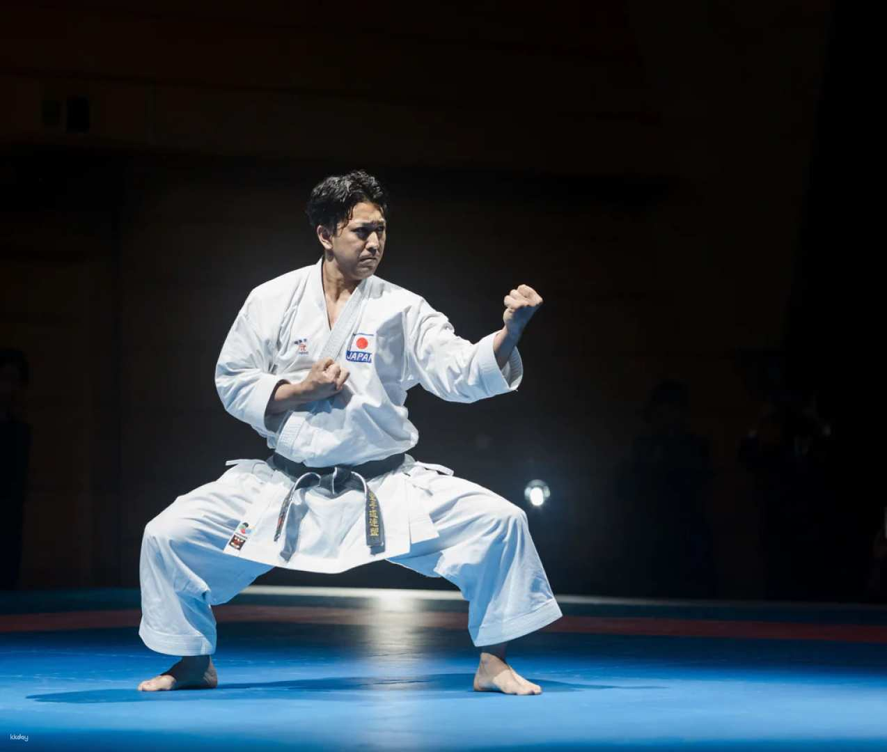 Japan Kyoto | Rising Sun Karate Spectacular Viewing Ticket/Special Experience/Accommodation Reservation - Photo 1 of 6