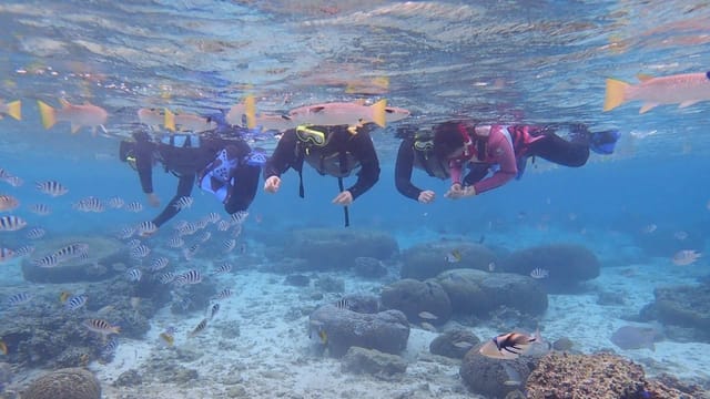 Japan Okinawa | Blue Cave Beginner Snorkeling and Diving Experience - Photo 1 of 9