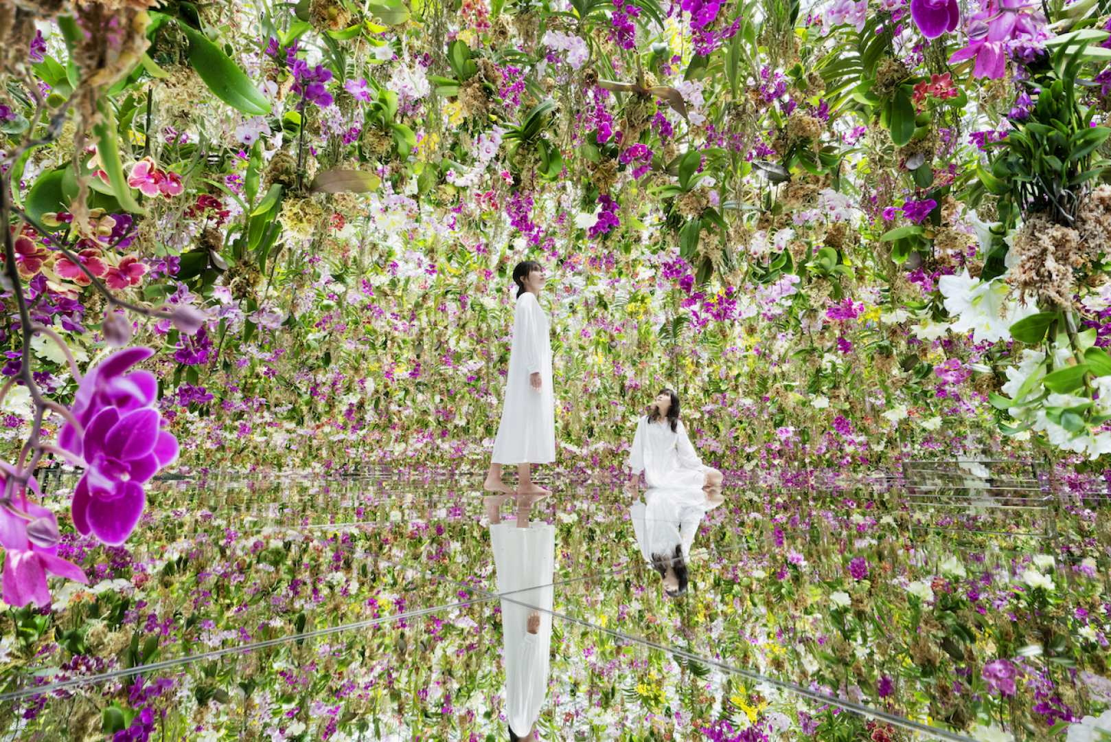 Japan TeamLab Planets TOKYO Ticket - Photo 1 of 7