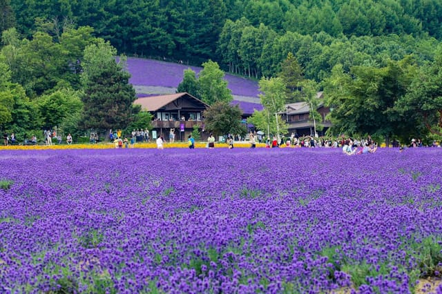 junpay-automatic-reservation-sapporo-furano-biei-bus-tour-korean-guide-select-one-of-3-stops_1