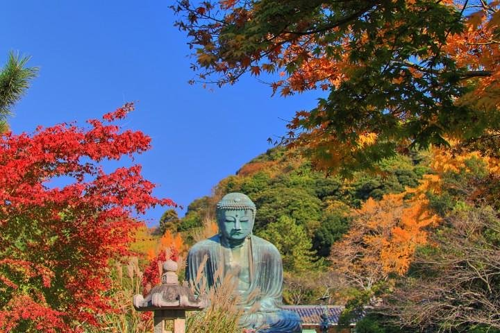 Kamakura Spanish Tour - Photo 1 of 6