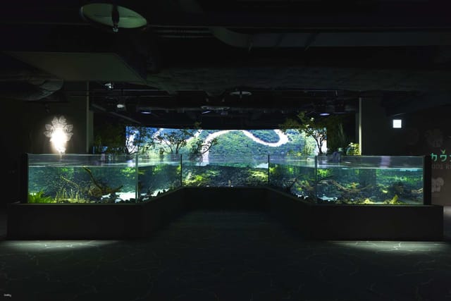 Kanagawa, Japan｜Kawasui Kawasaki Aquarium｜E-Ticket - Photo 1 of 5