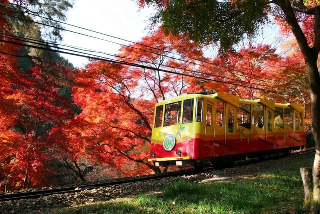 Tiket Satu Hari Keio + Kereta Gantung Gunung Takao dan Lift Kursi - Photo 1 of 10