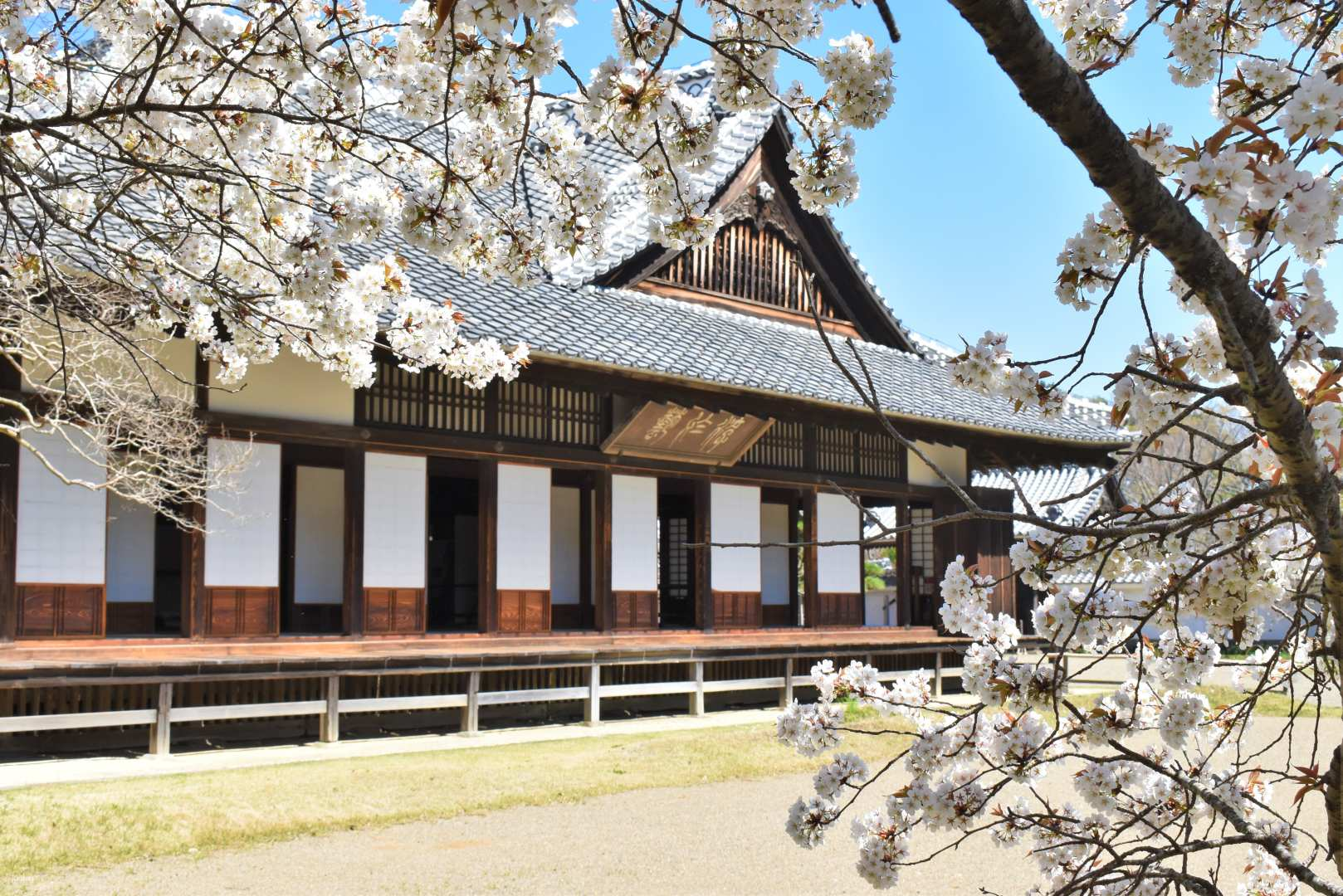 Kodokan admission ticket (Mito City, Ibaraki Prefecture) - Photo 1 of 5