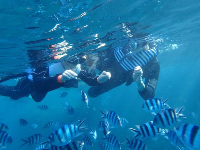 [Korean Guide] Okinawa Blue Cave Boat Snorkeling (Free Photo Transfer) - Photo 1 of 5