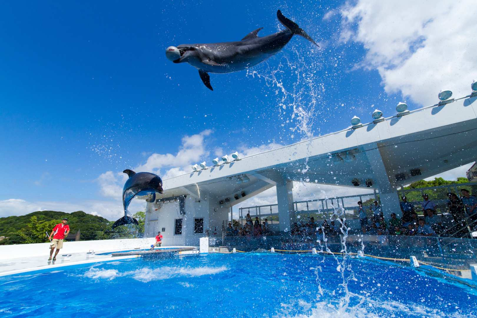 Kujukushima Aquarium Umi Kirara admission ticket + pearl beading experience (with pearls) (Sasebo City, Nagasaki Prefecture) - Photo 1 of 3