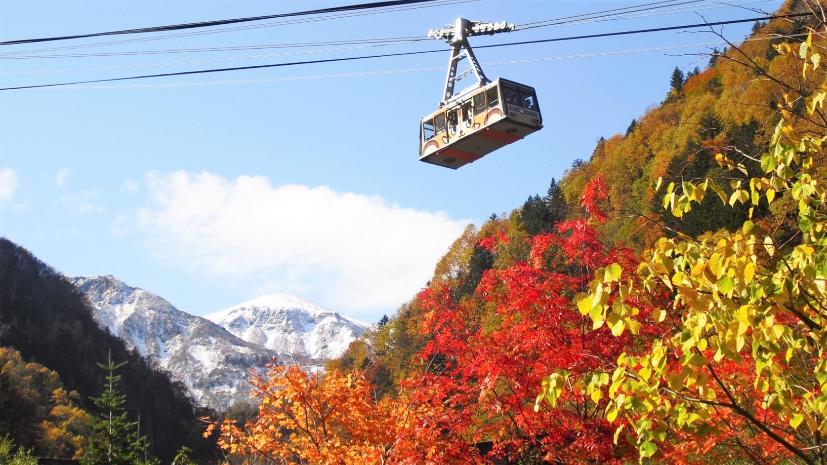 Kurodake Ropeway, Asahiyama Zoo Autumn Leaves Bus Tour - Photo 1 of 10