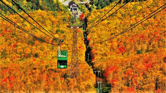 Kurodake Ropeway, Asahiyama Zoo, Blue Pond, Autumn Leaves Bus Tour - Photo 1 of 13