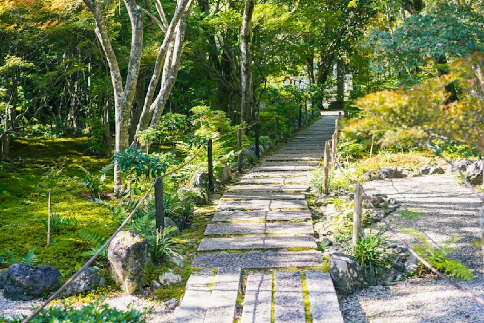 Kyoto Arashiyama insider walking tour - Photo 1 of 25