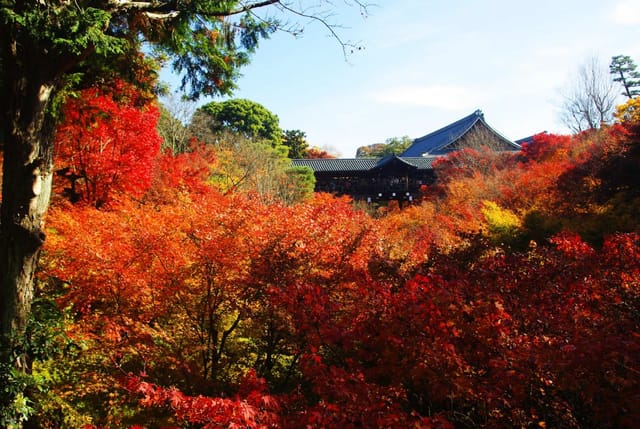 kyoto-autumn-day-tour-arashiyama-tenryu-ji-temple-tofuku-ji-temple_1