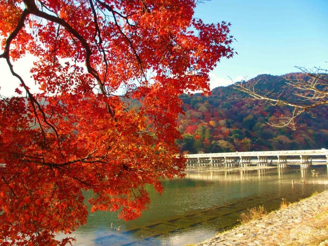 Kyoto Day Tour: Arashiyama, Kinkakuji Temple, & Fushimi Inari Taisha Shrine | Japan - Photo 1 of 10