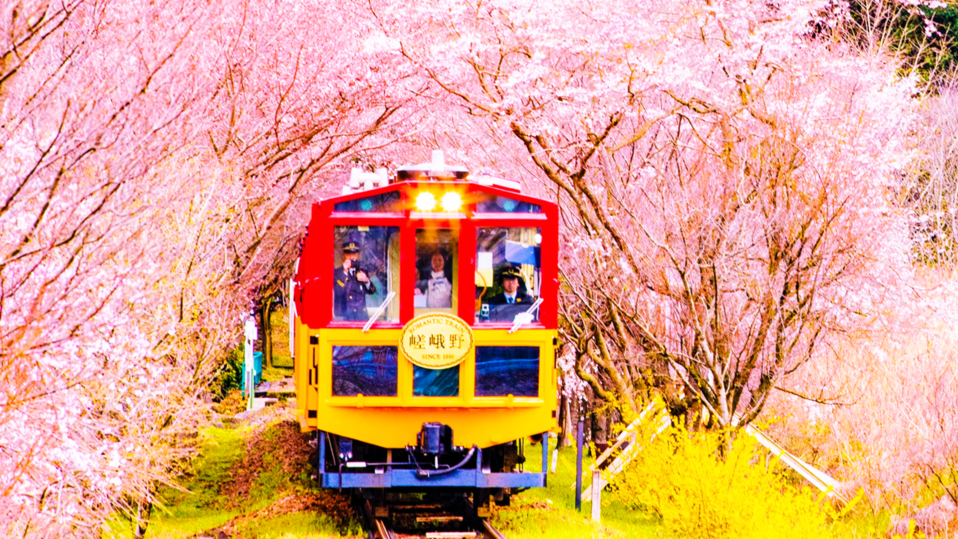 Kyoto Full Day Tour: Sanzen-in, Arashiyama, Bamboo Trail - Photo 1 of 10