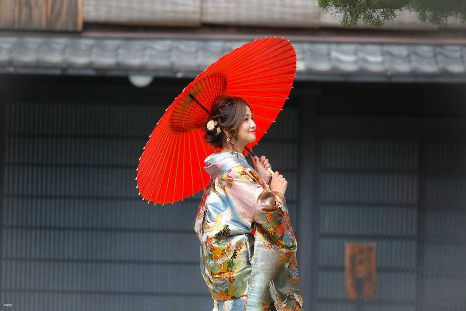 Kyoto, Japan | Japanese-style high-end kimono & professional photographer shooting - Photo 1 of 18