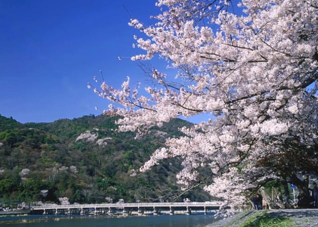 Kyoto Nara Tour: Arashiyama, Kinkakuji Temple, Nara Park - Photo 1 of 10