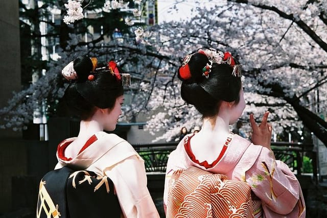 Hanami cherry blossom food tour Kyoto