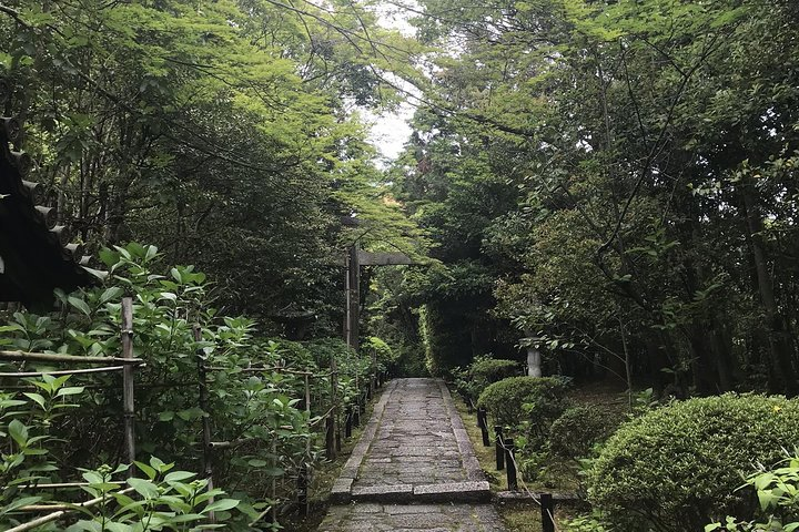 Kyoto: The Path Less Traveled (Private) - Photo 1 of 9