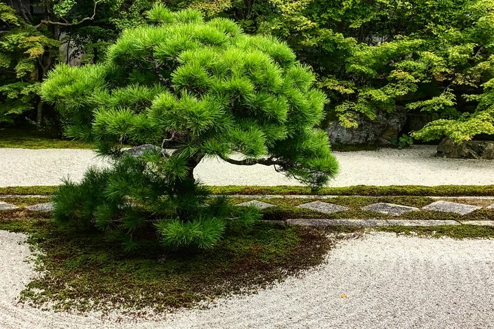 Zen Garden, Zen Mind