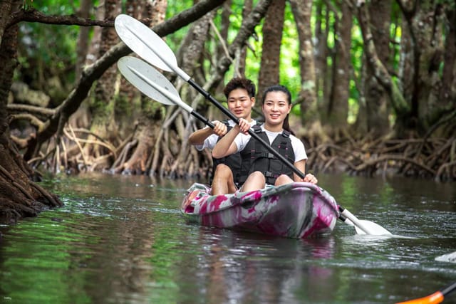 mangrove-canoe-or-stand-up-paddleboard-sup-experience-from-ishigaki-island-in-okinawa-japan_1