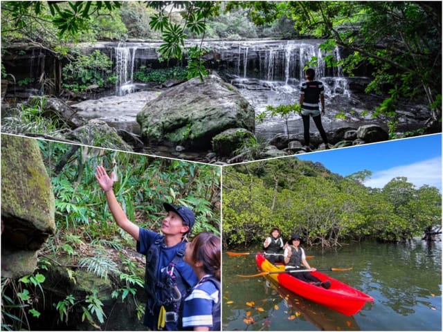 Mangrove SUP/Canoe + "Sangara Falls" Trekking 1-day tour reservation Free photo data (Okinawa Iriomote Island) - Photo 1 of 9