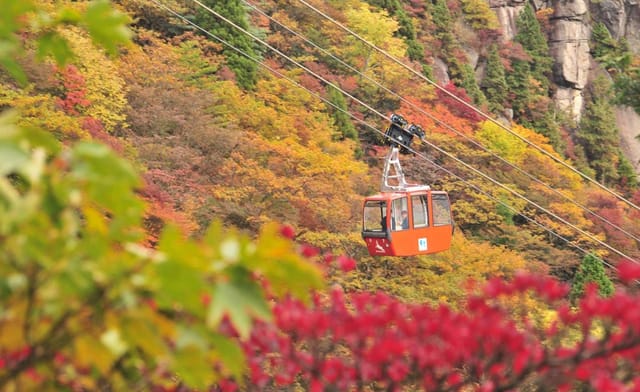 Maple Viewing Bus Tour from Osaka: Gozaishodake Ropeway, Hoarfrost, Nabana no Sato - Photo 1 of 9