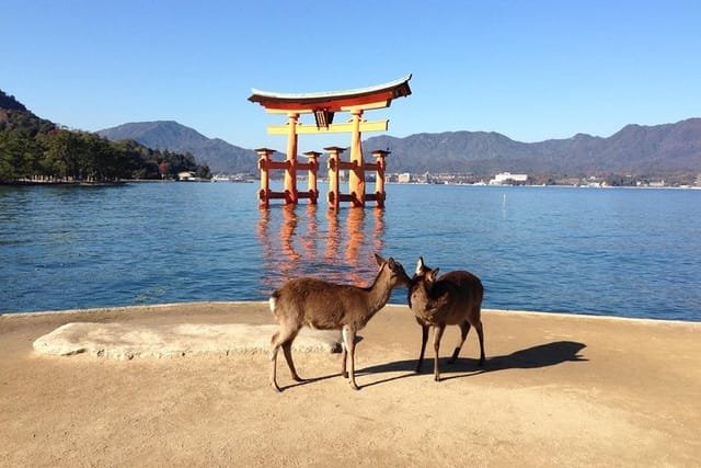 Miyajima full day tour - Photo 1 of 7