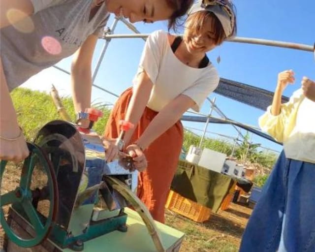 Miyakojima Okinawan Dessert Making: Fresh from the Farm - Photo 1 of 5