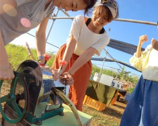 Miyakojima Okinawan Dessert Making: Fresh from the Farm - Photo 1 of 5