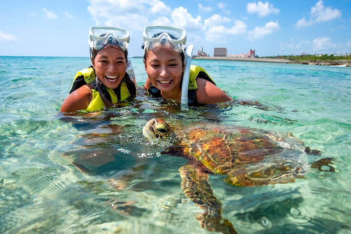 Miyakojima / Snorkel tour to swim with sea turtles - Photo 1 of 25