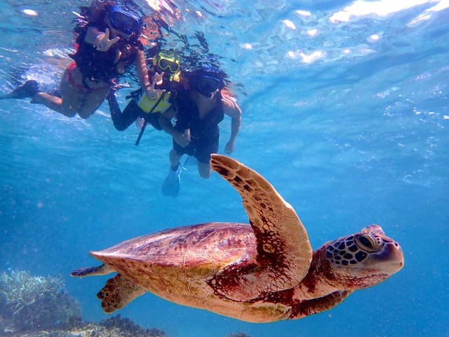 Miyakojima Snorkeling with Sea Turtles | Okinawa - Photo 1 of 9