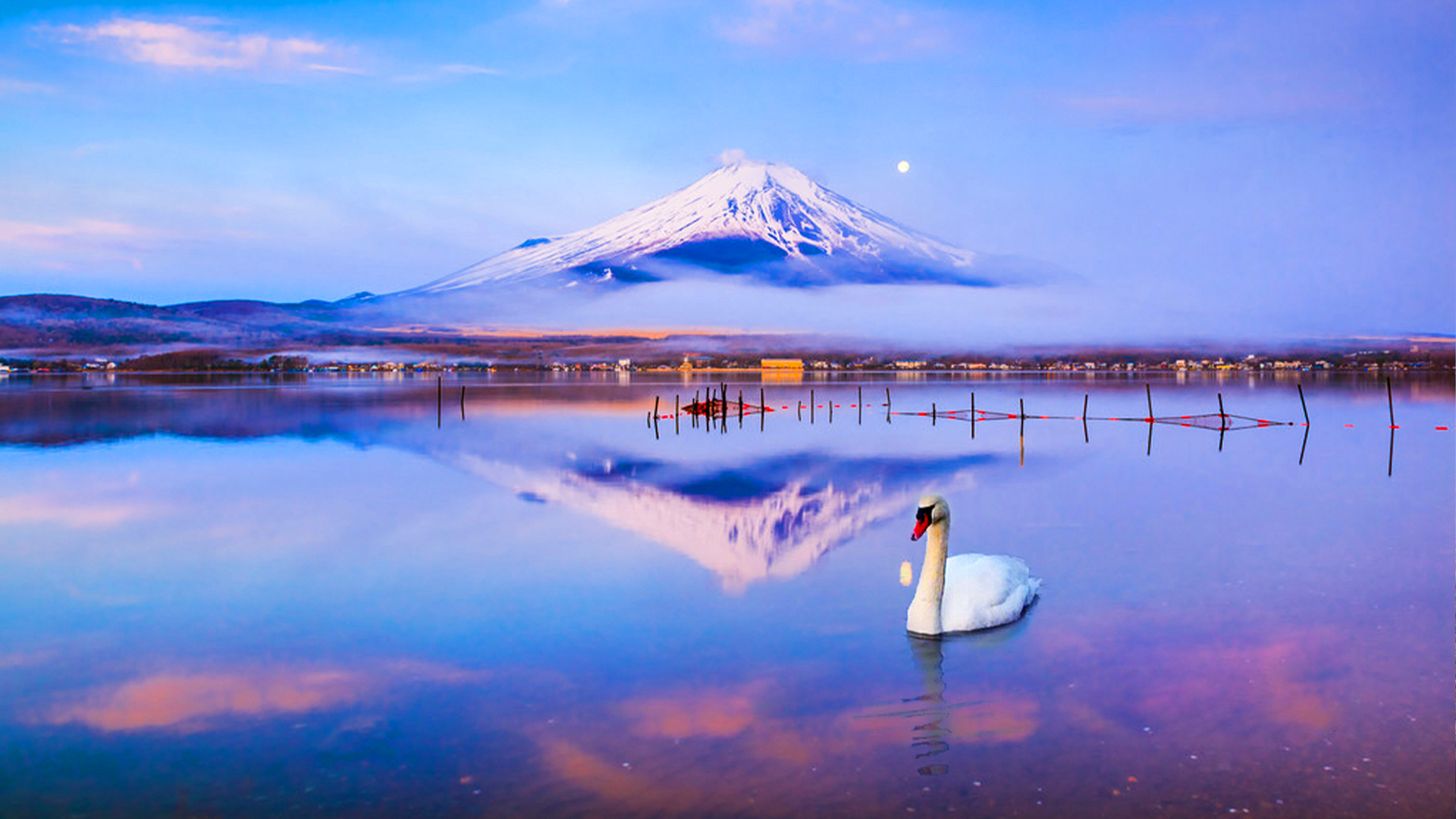 Tokyo: Mt. Fuji, Lake Kawaguchi, Yamanaka and Onsen Tour - Photo 1 of 5