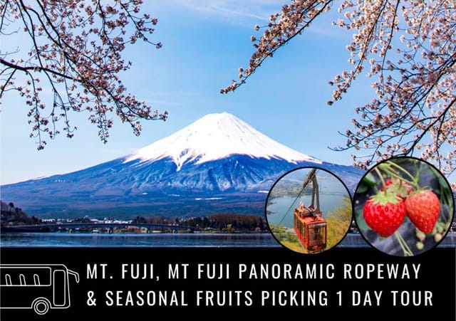 Mt Fuji, Panoramic Ropeway, Seasonal Fruit Picking Tour - Photo 1 of 7